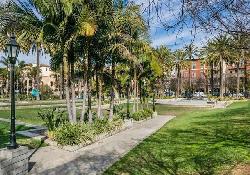 Asher at Playa Vista