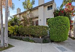 Pacific Studio