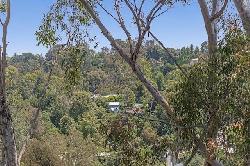 Huntington Palisades
