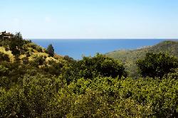 Palisades Hills