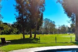 Polo Fields