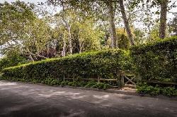 Sullivan Canyon