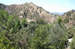 Tigertail Road