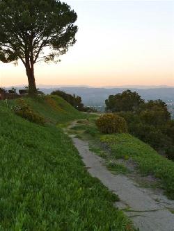 Top O Topanga