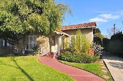 Redondo Sycamore