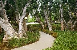 Century Park East