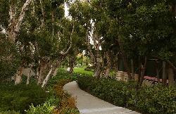 Century Park East