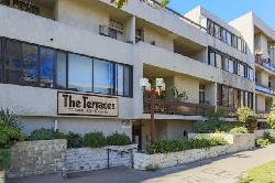 Terraces, The