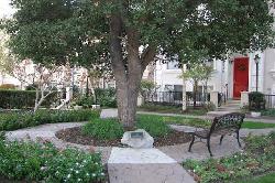Brownstones, The