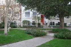 Brownstones, The