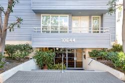 10644 Wilkins