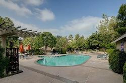 Arroyo Woods