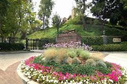 Arroyo Woods