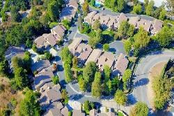 Arroyo Woods