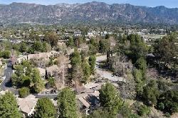 Arroyo Woods