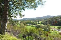 Arroyo Woods