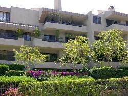Century Hill