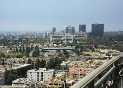 Californian, The