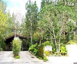 Century Woods