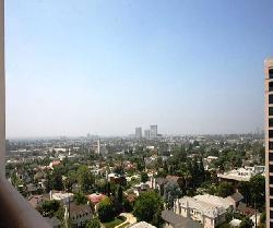 Wilshire Manning, The