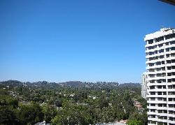 Wilshire Manning, The