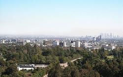 Wilshire Terrace