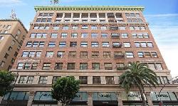 Broadway Hollywood, The