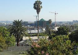 Palm Hancock