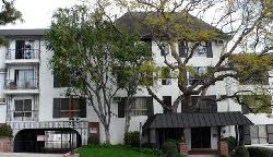 Olive Manor