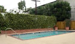 Olive Manor