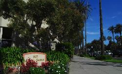 Pacifican, The