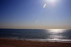 101 Ocean