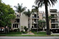 Westwood Arbor