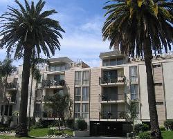 Westwood Arbor