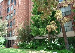 Colony at Westwood, The