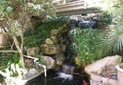 Colony at Westwood, The