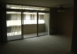1200 N Flores