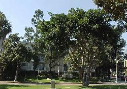 Vista Palisades