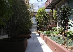 Laurel Court Lofts