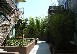 Laurel Court Lofts