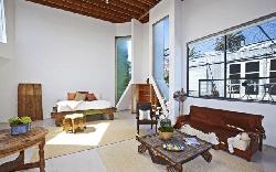 Frank Gehry Lofts