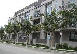 Steel Lofts