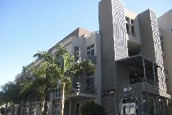 Steel Lofts
