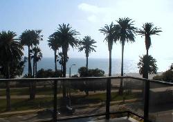 833 Ocean