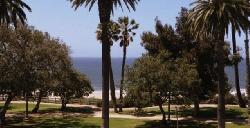 833 Ocean