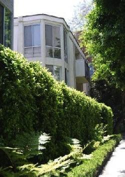 Holloway Terrace