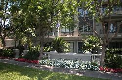 Brentwood Park Condos
