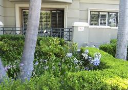 Brentwood Park Condos