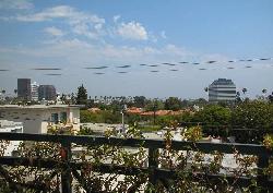 Brentwood Park Condos