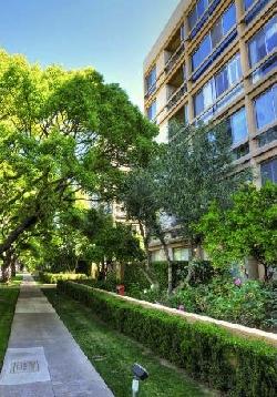 Maple Towers